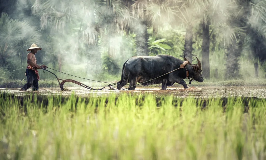 Sapa Vietnam