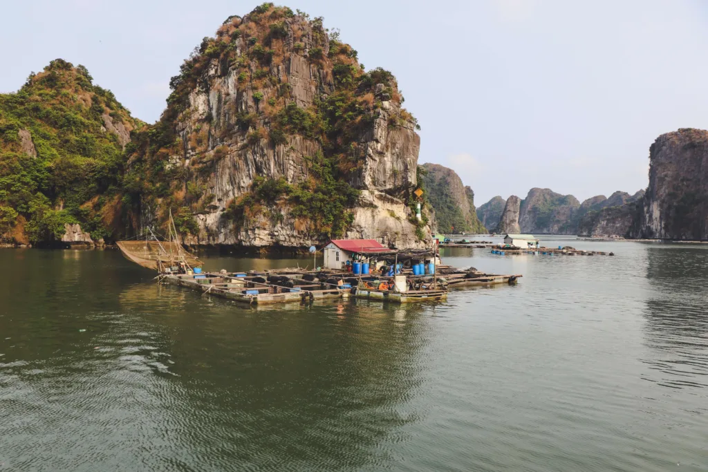 Halong Bay